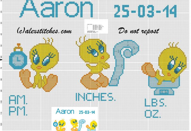 Birth records boy with Tweety Bird cross stitch pattern