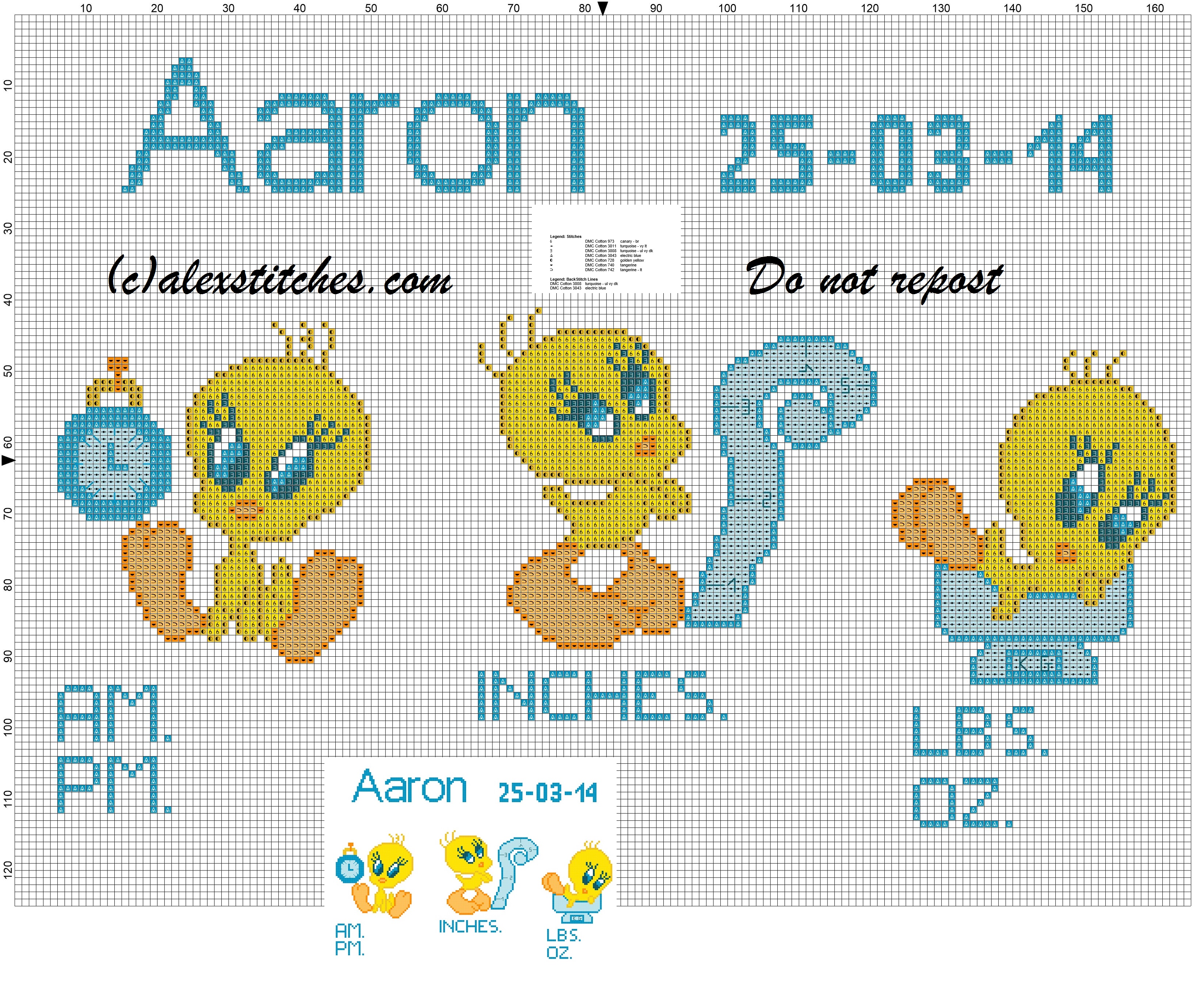 Birth records boy with Tweety Bird cross stitch pattern